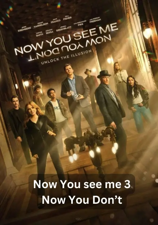 Now You see Me: Now You Don't - VJ Nelly